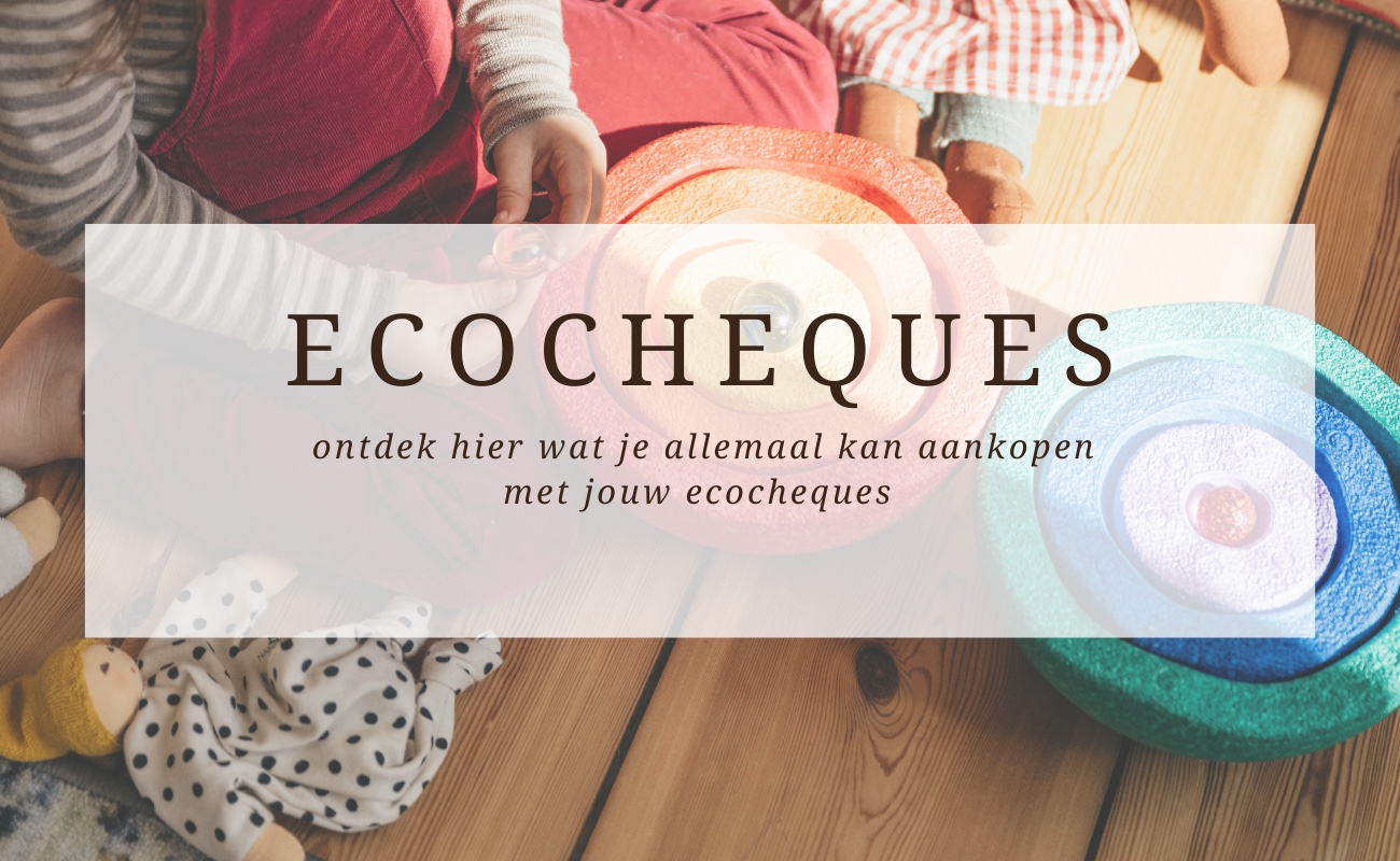 ecocheques slider homepage